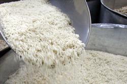 شرایط واردات برنج به کشور/ برچسب‌گذاری محصولات تولید داخل