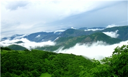سرانه جنگل در آذربایجان‌شرقی ۵۲۰ مترمربع است