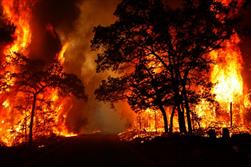 آتش‌سوزی ۴ هکتار جنگل و مرتع در سرپل‌ذهاب