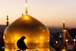 هفدهمین جشنواره بین‌المللی امام رضا(ع) در مشهد و سراسر کشور برگزار می‌شود