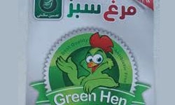 تولید مرغ سبز با نظارت دامپزشکی بدون استفاده از دارو انجام می شود