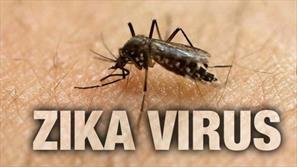 علائم اولیه آلودگی با ویروس زیکا