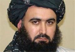بازداشت سرکرده طالبان انشعابی