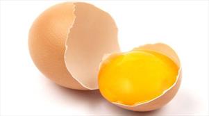 آیا زرده تخم مرغ برای شما خوب است؟