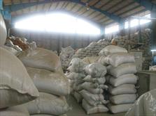 واردات برنج ارزان تایلندی برای اقشار آسیب پذیر