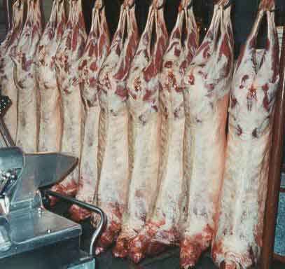 سوءاستفاده برزیل از انحصار واردات گوشت به ایران