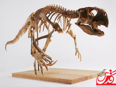 چگونه دایناسورها از موجوداتی چهارپا به دوپا تغییر کردند