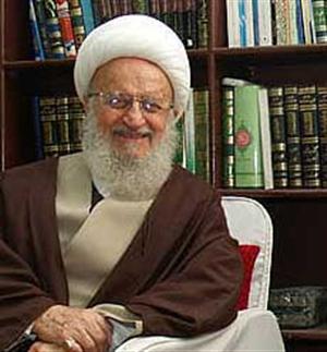 دیدگاه آیت‌الله مکارم شیرازی در خصوص مساله ارث