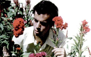 ماجرای خواندنی خواستگاری شهید حسن باقری