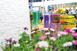  یازدهمین نمایشگاه بین المللی گل و گیاه مشهد امروز گشایش می یابد
