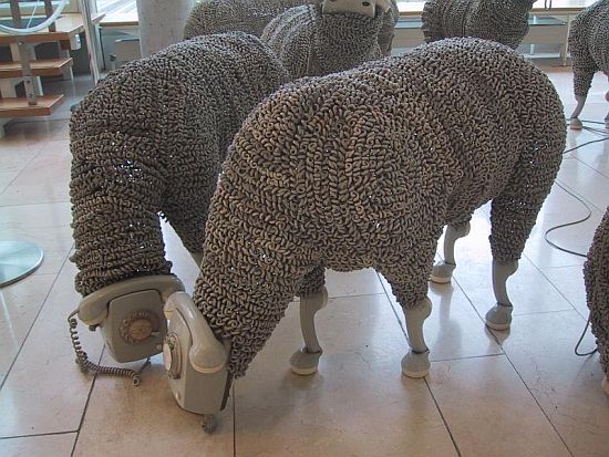 گوسفند تلفنی! + عکس 