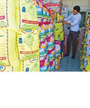  برنج پاکستانی با طعم شپشک