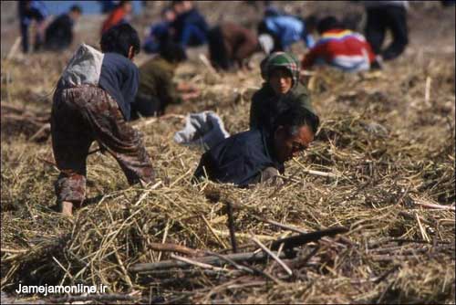 قحطی شدید در کره شمالی