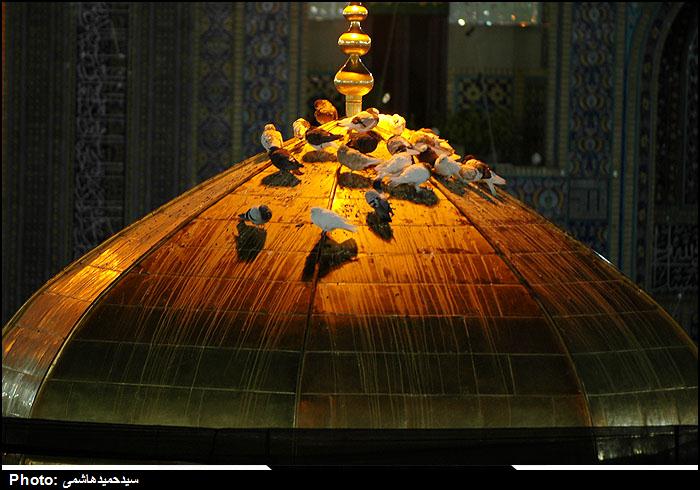 نحوه شهادت امام حسن عسکری(ع)