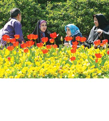  سیمای زنی در دوردست