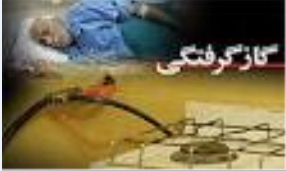 روشن کردن پیک نیک در خودرو، راننده را در خواب ابدی فرو برد‎