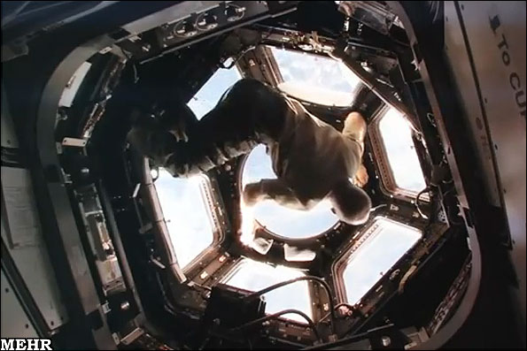 مبارزه پرندگان خشمگین در فضا+تصاویر 