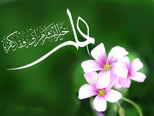 روایت امام رضا(ع) از ویژگی های امام علی (ع)