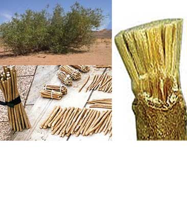  نماز همراه با مسواک توصیه همه معصومین(ع) است