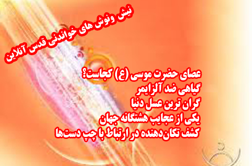 عصای حضرت موسی (ع) کجاست؟/خطرناک‌ترین بیماری زمستانه /بزرگترین گوشتخوار اقیانوسها