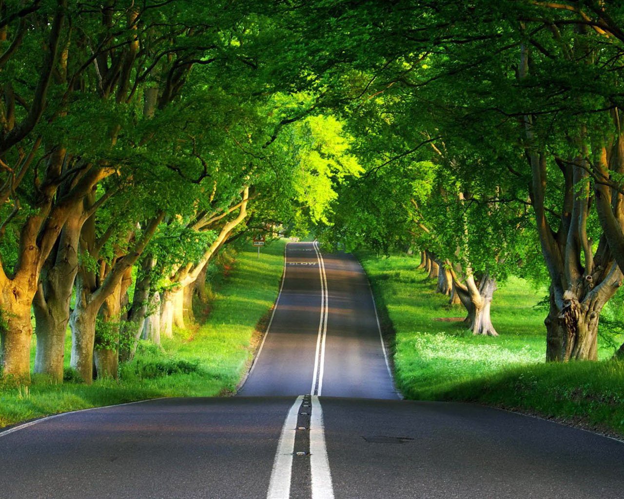       اذکار و اوراد منحصر به فرد، برای سفر