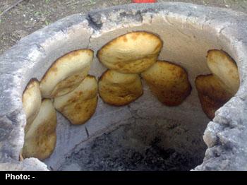 از آلودگی میکروبی نان چه می دانیم