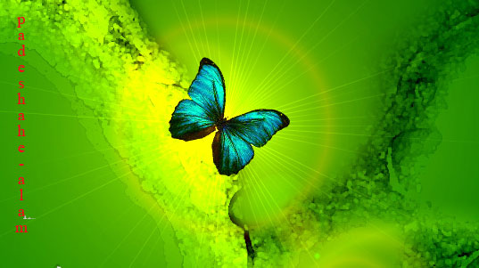 ماجرای فشار قبر آدم تندخو