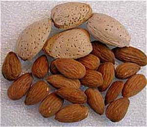 مصرف متعادل بادام کلسترول بدن را تنظیم می کند