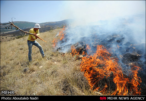 آتش و جاده، دو مهمان نامبارک پارک ملی گلستان/ شعار حفاظت از محیط زیست دولت در گلستان اجرا نمی شود