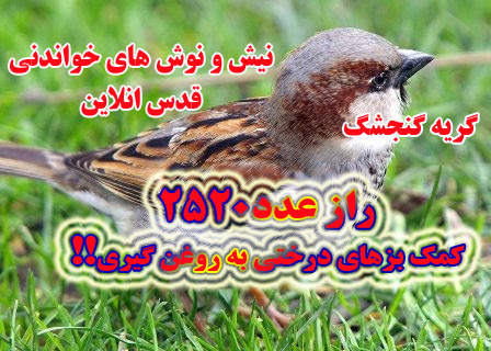 از راز عدد 2520 تا گریه گنجشک ها!