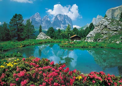 توصیه های پزشکی امام رضا علیه السلام برای فروردین ماه