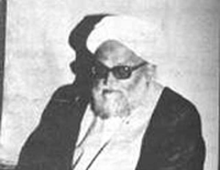 هدیه ای که امام رضا (ع) به این عالم داد!
