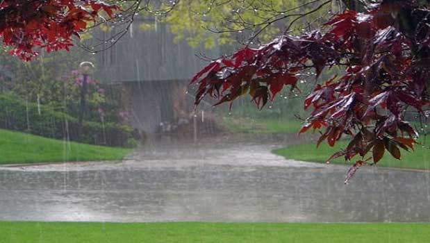 پیش بینی کاهش دما و بارندگی در لحظه تحویل سال برای مشهدمقدس