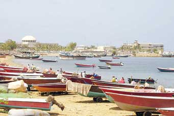  بهار خدمات در چابهار