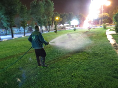 شهرداری مشهد فضای سبز رابا آب شرب آبیاری میکند/ کاشت 20 میلیون گل توسط شهرداری یعنی دهن کجی به کم آبی مشهد