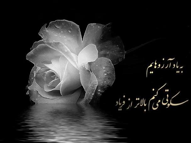 سرمایه احمقان چیست؟