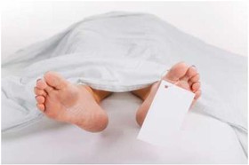روند فروپاشی بدن انسان در هنگام مرگ چگونه است؟ 