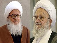 نظر آیات عظام مکارم شیرازی و وحید خراسانی درباره هزینه کردن خمس در انتخابات