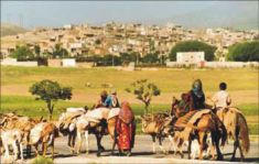 هزینه خانوارهای روستایی بالا رفت