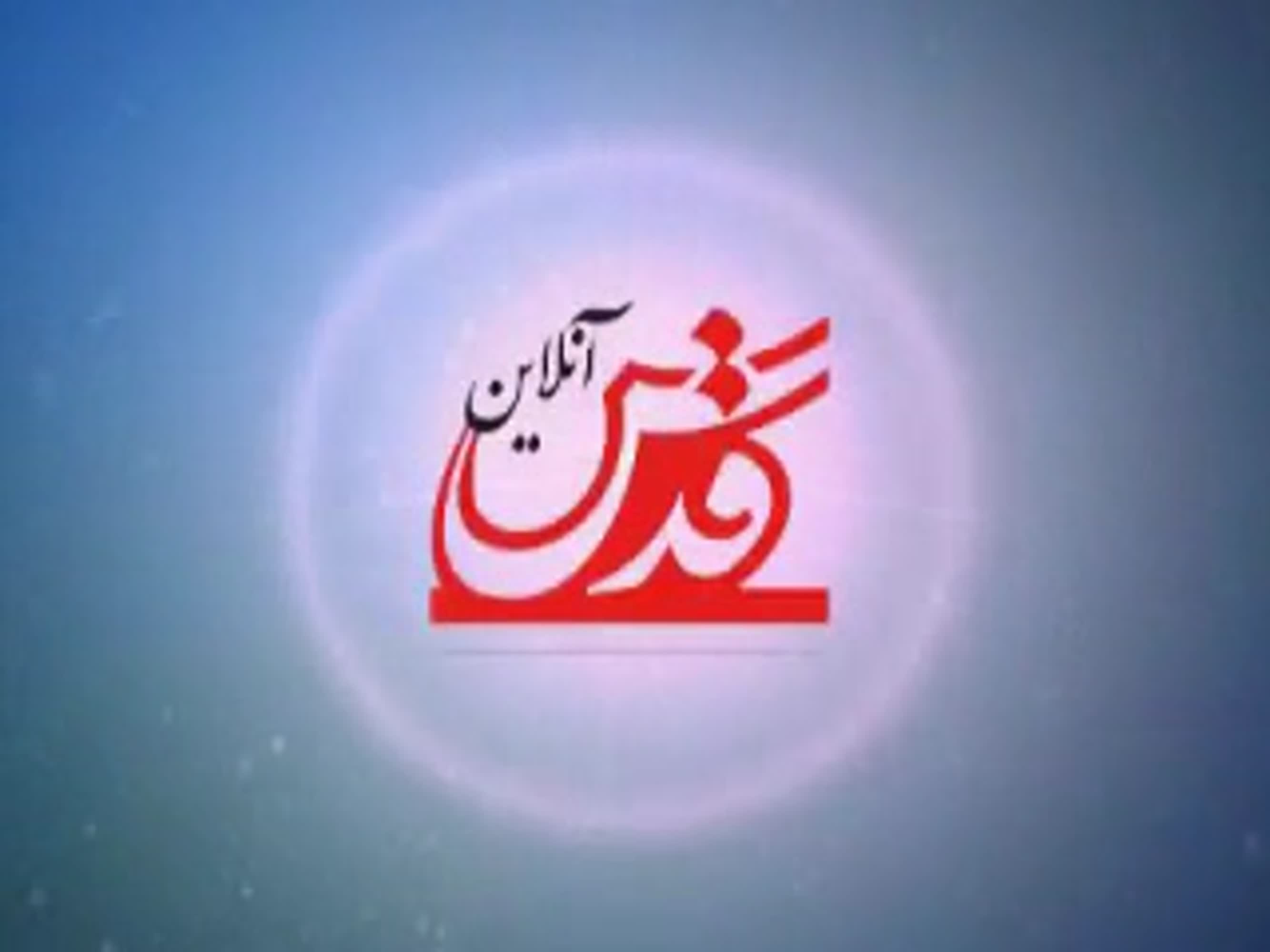 فیلم/ کشف بزرگ ترین قارچ