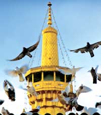امام رضا(ع) و تثبیت توحید مداری