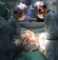 بازگشت بینایی یک بیمار/ پیوند موفقیت آمیز دست