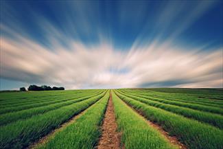 چه کسانی در قیامت مبارک خوانده می شوند؟