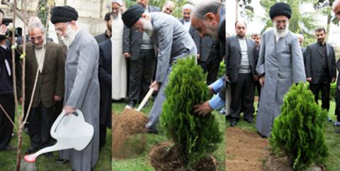گلایه رهبر معظم انقلاب از مسئولین مرتبط با موضوع درخت و درختکاری