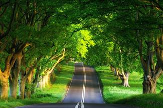       اذکار و اوراد منحصر به فرد، برای سفر