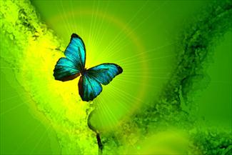 ماجرای فشار قبر آدم تندخو