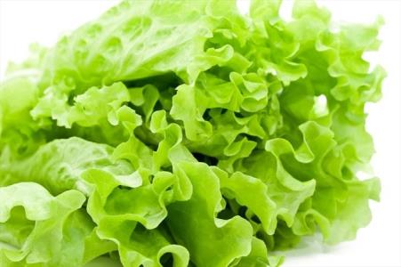 خواص درمانی کاهو از نگاه امام رضا علیه السلام