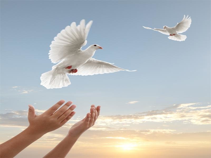 بررسی آزادی سیاسی در اسلام