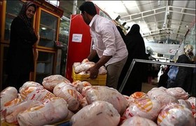 گرانی مرغ در ایلام ناشی از گرانی جوجه یک روزه است