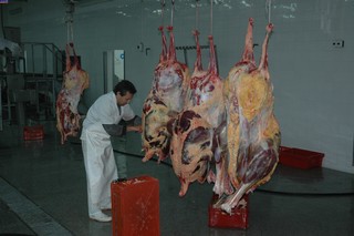 رشد 10 درصدی تولید گوشت شترمرغ در خراسان جنوبی